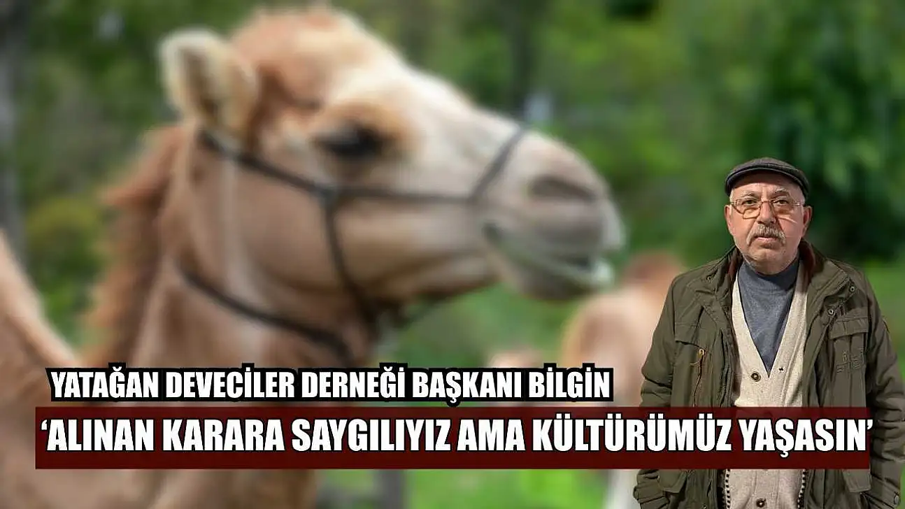 Yatağan Deveciler Derneği Başkanı Bilgin: 'Alınan karara saygılıyız ama kültürümüz yaşasın'