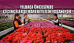 Yılbaşı öncesinde çiçekçilerde hareketlilik yaşanıyor