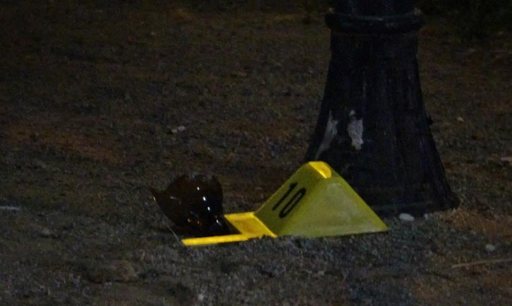 Çocuk parkında dehşete düşüren olay