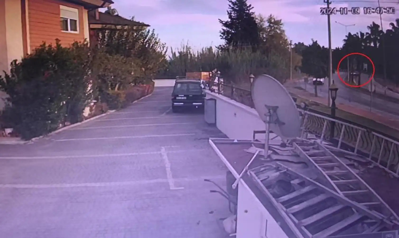 Kontrolden çıkan otomobil palmiyeye çarptı:1 yaralı