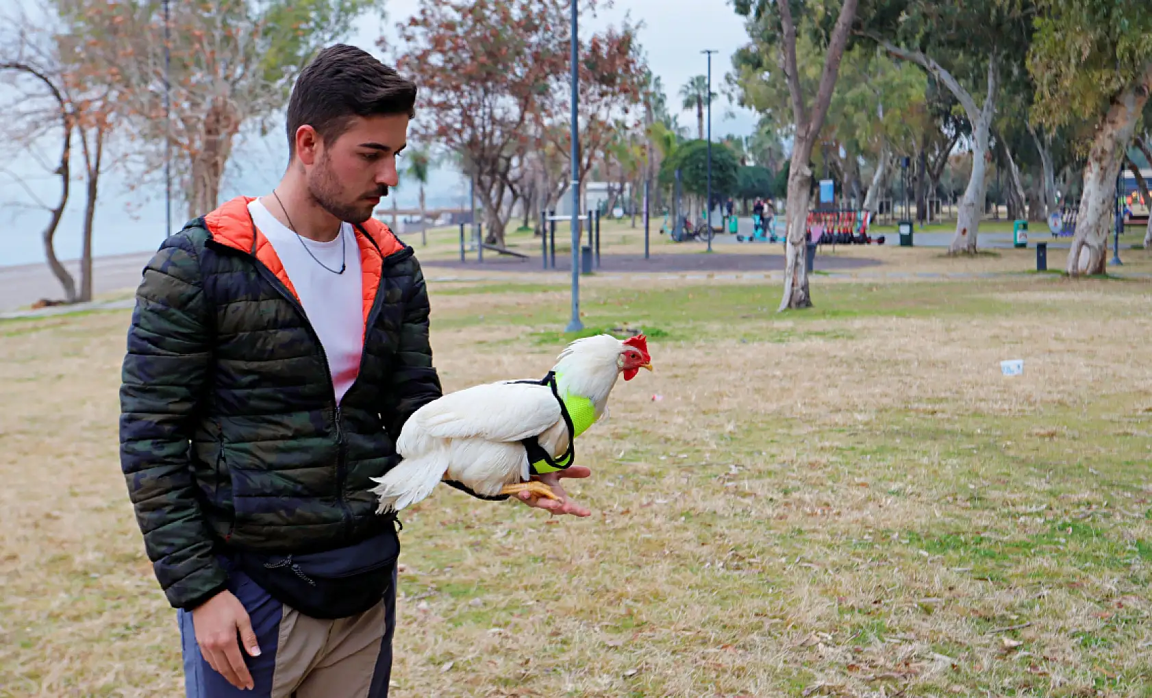 Falezlerden düşen tavuğu denizden kurtarıp sahiplendi, şimdi yanından ayrılmıyor