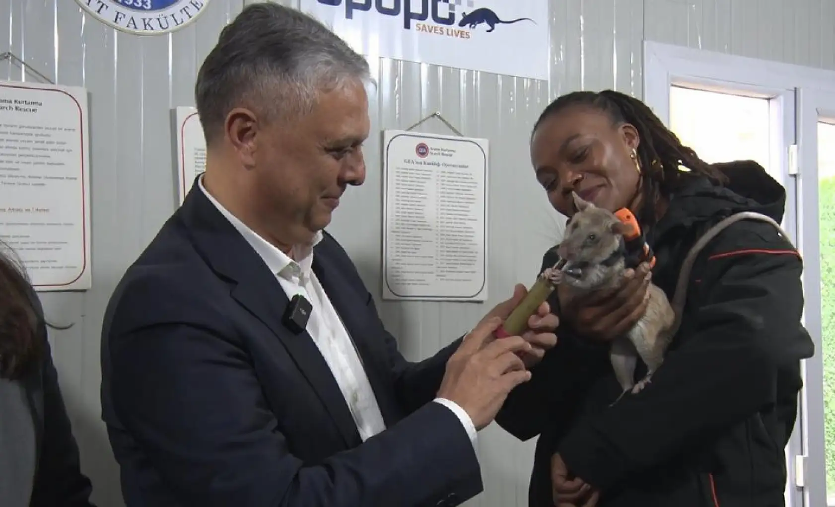 Arama kurtarmada yeni dönem: Enkaz altında kalanları kahraman fareler kurtaracak