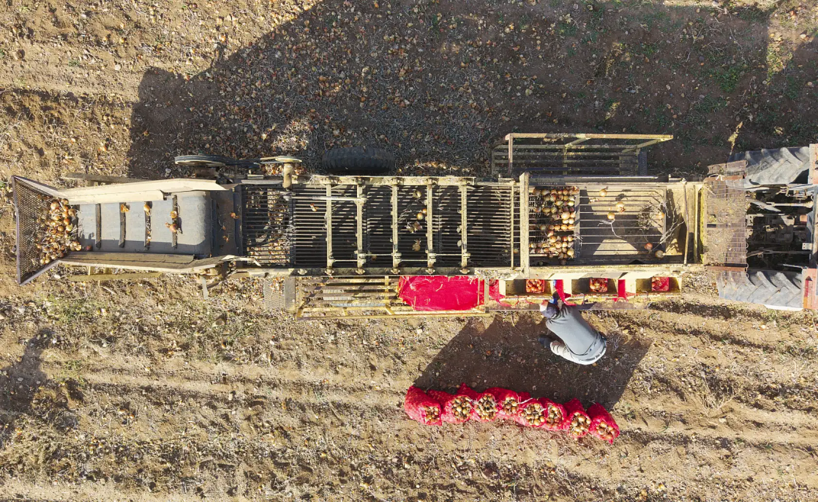 Kuraklık riski büyüyor, çiftçiden uyarı: 'Suyu dikkatli kullanmazsak ekmeğimizi kaybederiz'