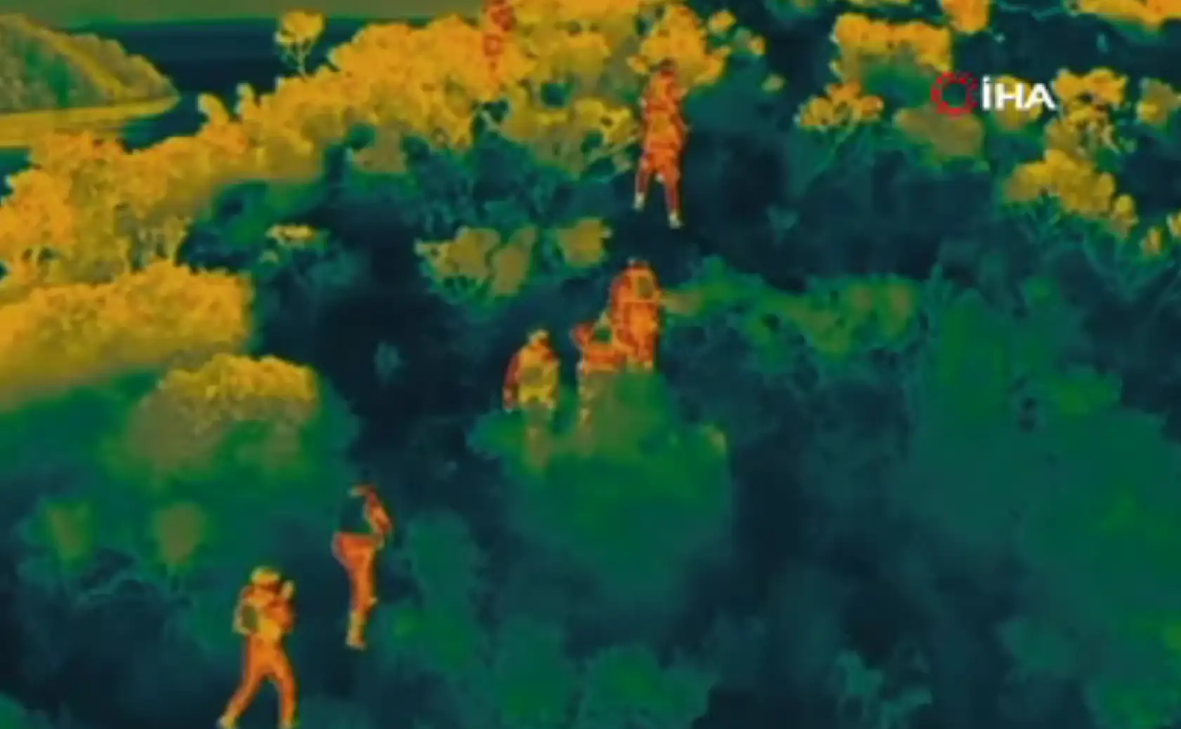 Muğla Dahil 15 İlde Operasyon: 155 Göçmen Kaçakçısı Yakalandı