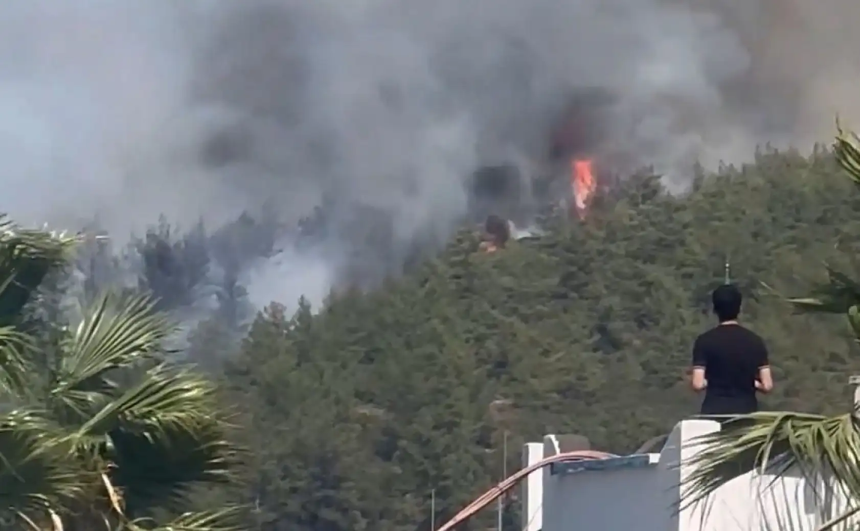 Bodrum'da orman yangını başladı
