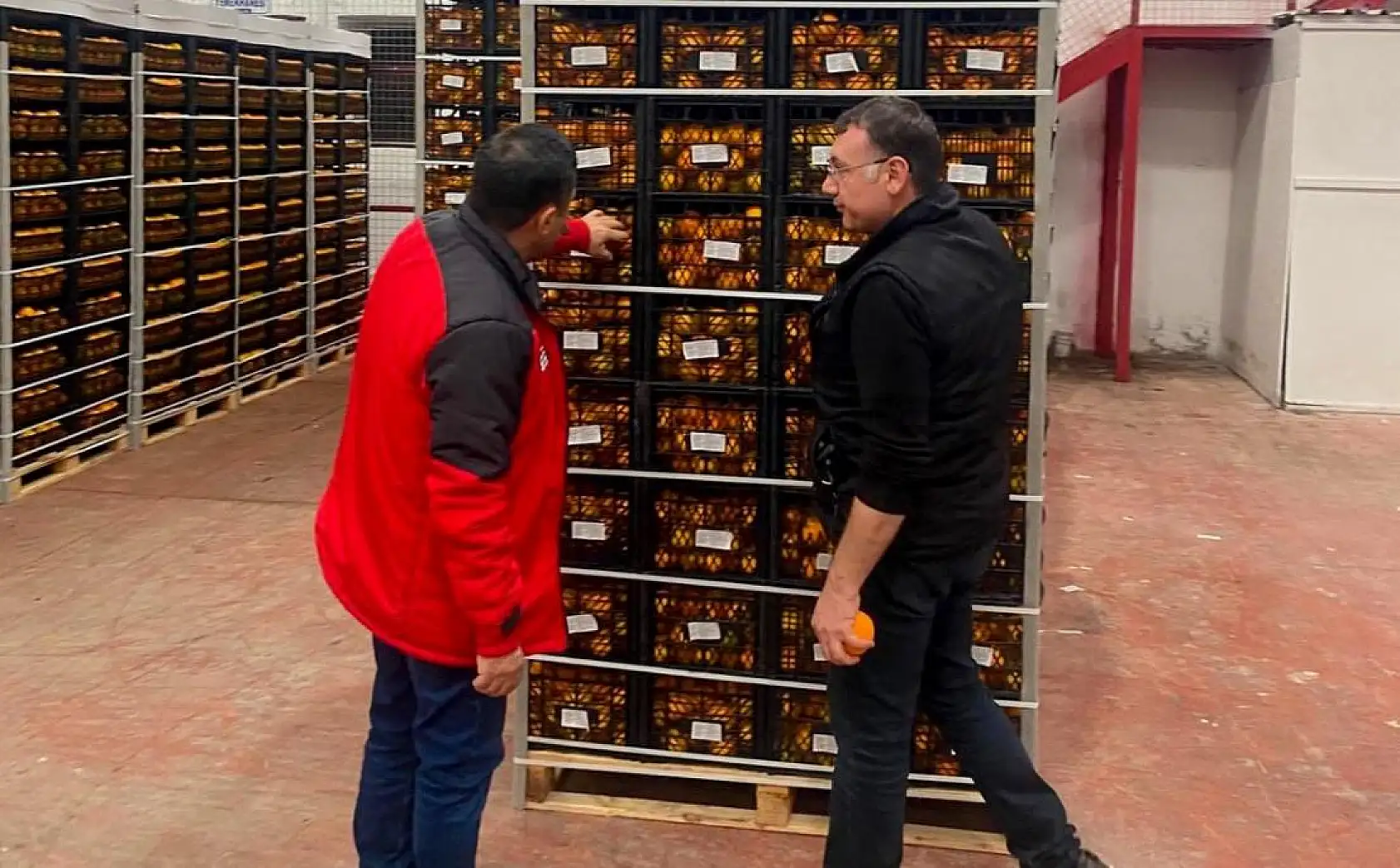 Narenciye ihracata hazır