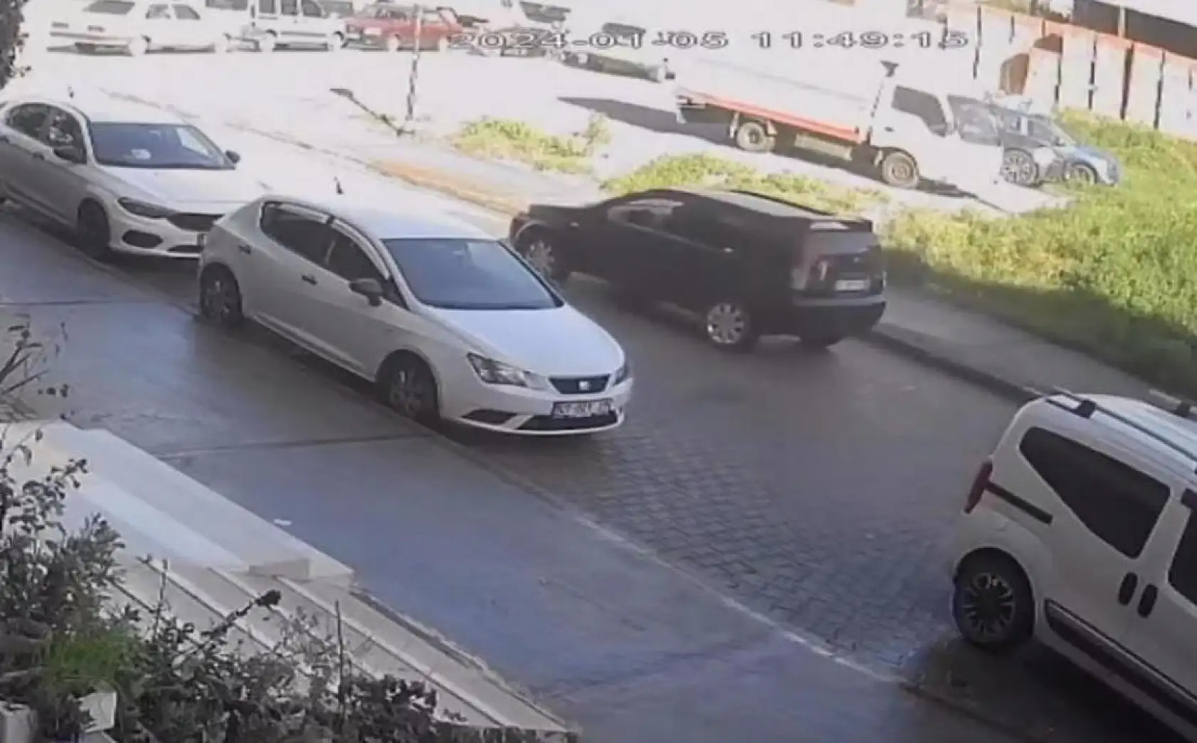 Otomobilin çarpıp kaçtığı kedi, sahibinin kucağında öldü