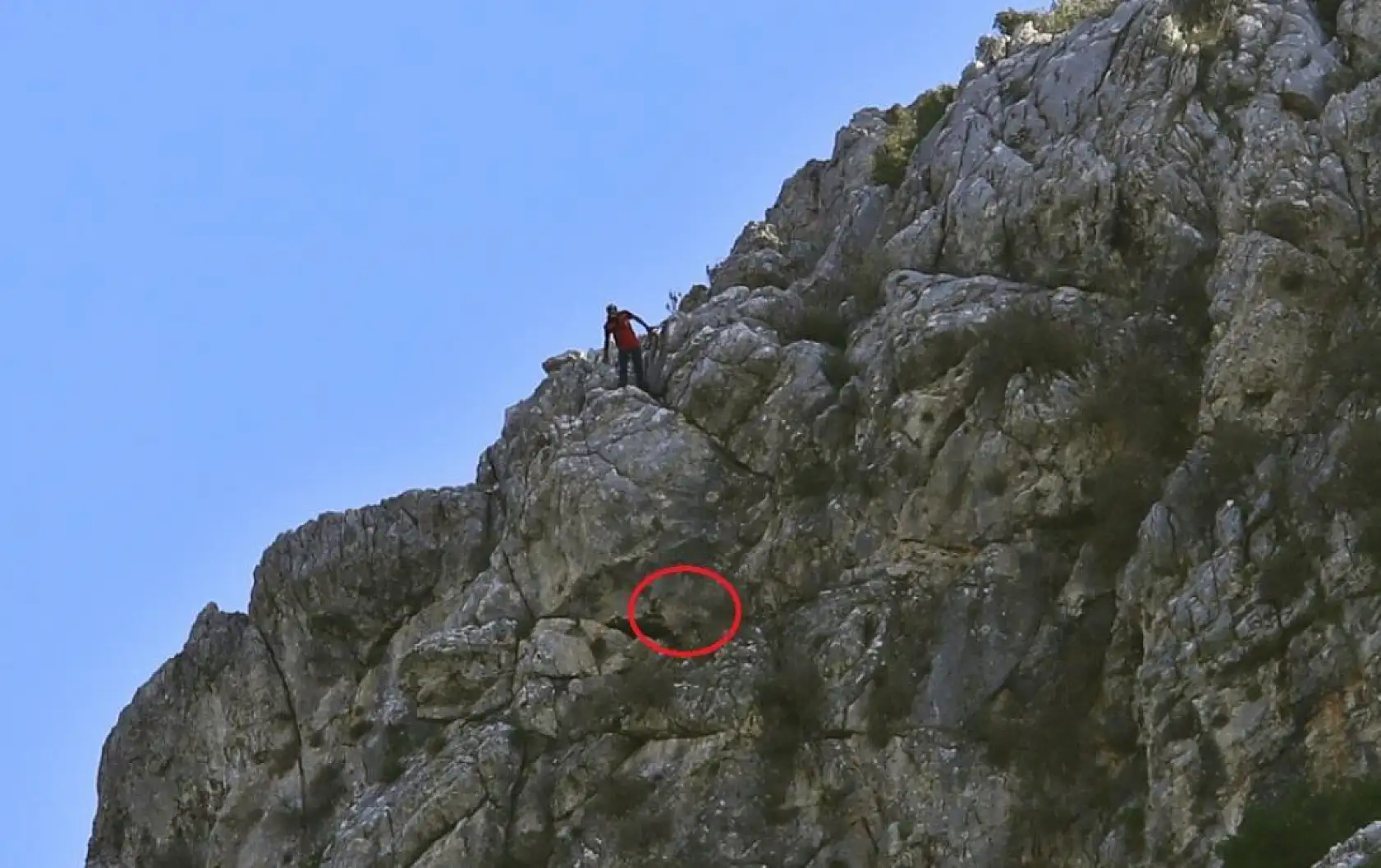 3 keçisini kurtlar yiyen yaşlı adam, mahsur kaldığı uçurumdan kurtarılan son keçisine sarılıp doyasıya öptü