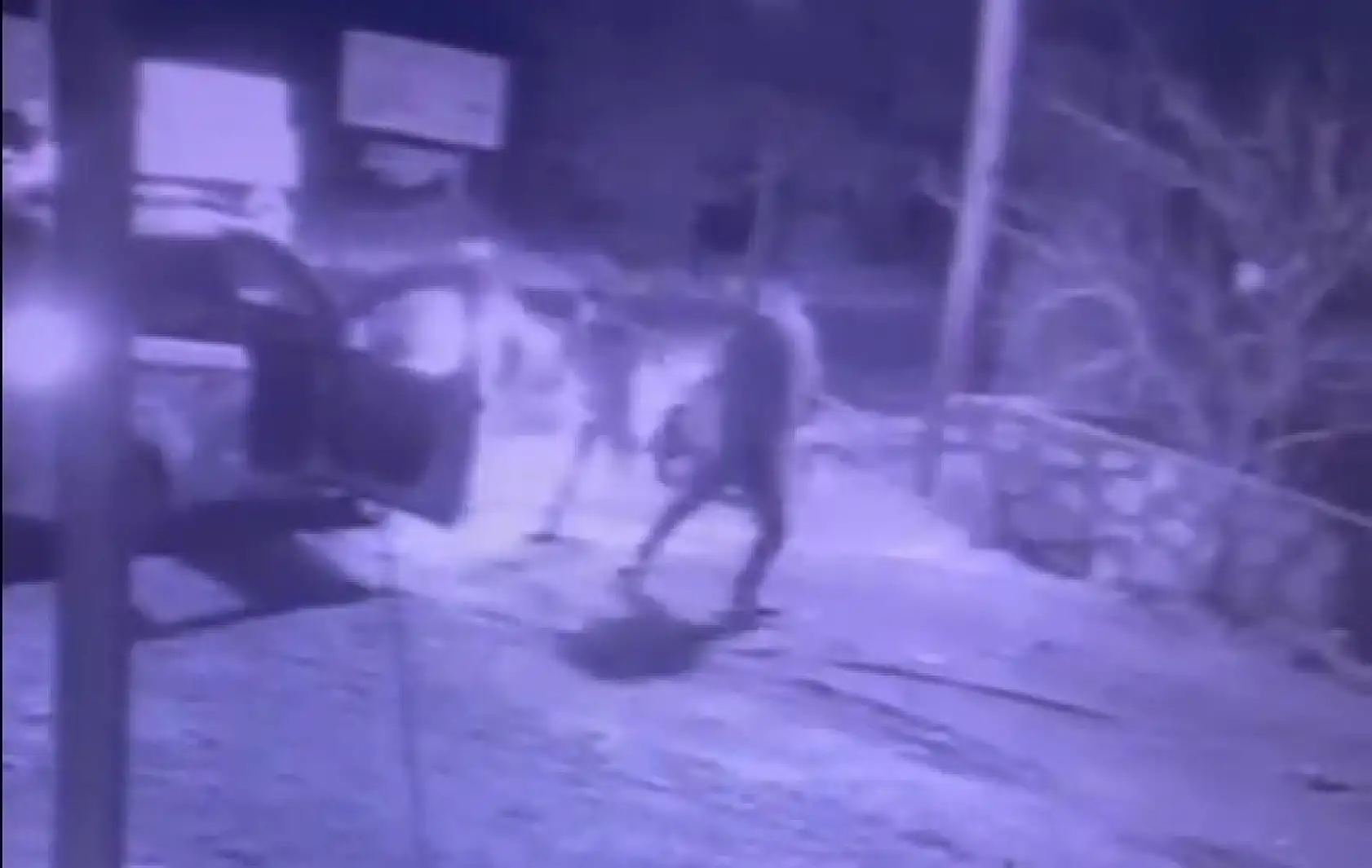 Bodrum'da akrabalar birbirine girdi: 1 tutuklama