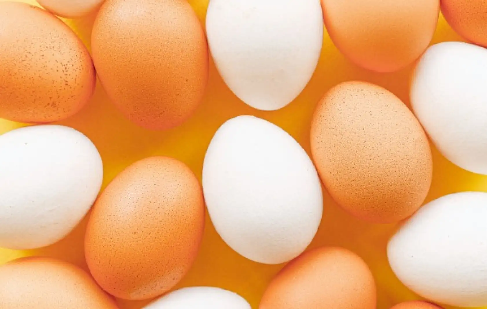 Çok şaşıracaksınız, kahverengi yumurta mı beyaz yumurta mı hangi daha sağlıklı?