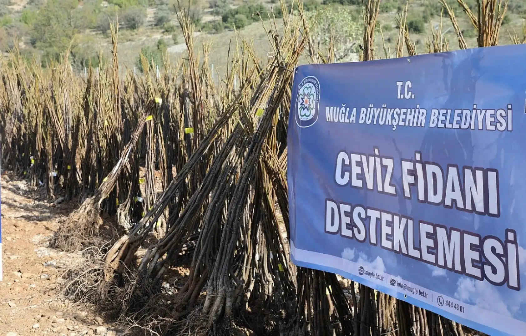 Her Kapıda Bir Fidan Projesi Menteşe'de Başlıyor