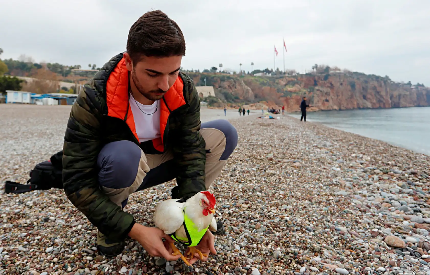 Falezlerden düşen tavuğu denizden kurtarıp sahiplendi, şimdi yanından ayrılmıyor