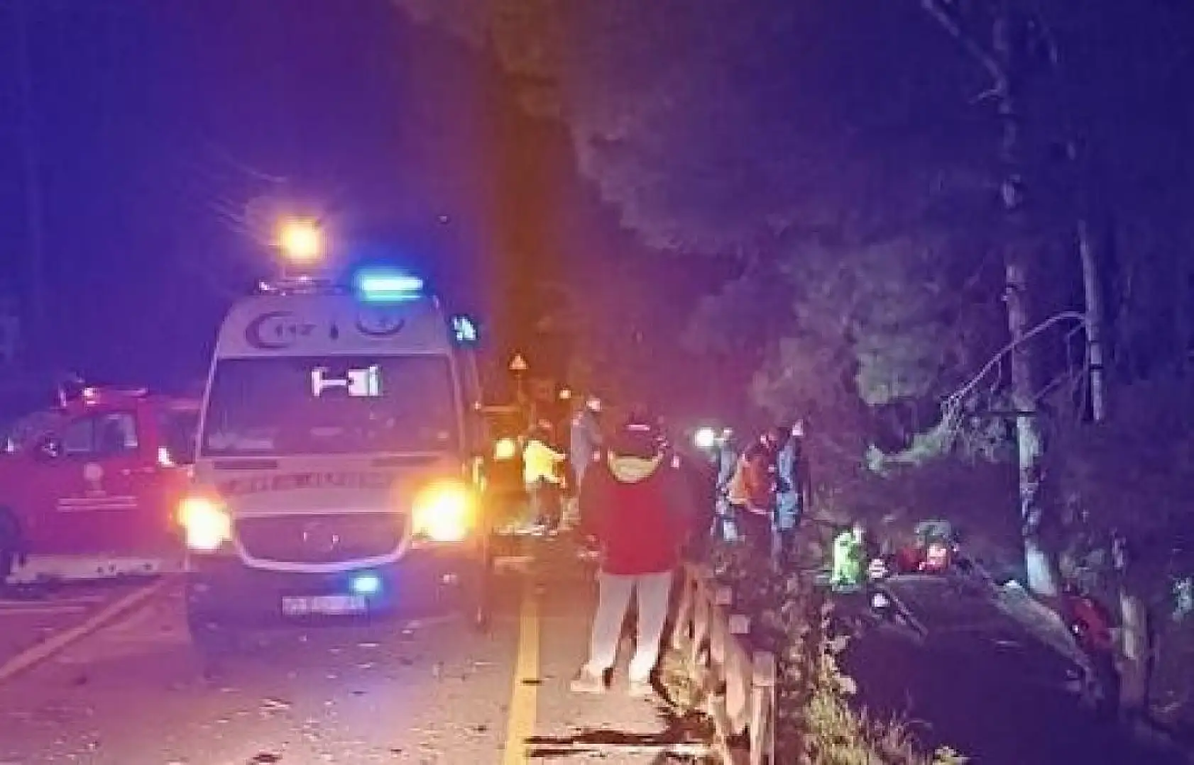 Yoldan çıkan otomobil ağaca çarptı: 1 ölü