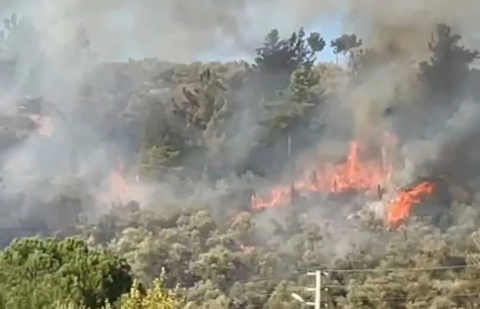 Menteşe'de orman yangını, söndürme çalışmaları sürüyor