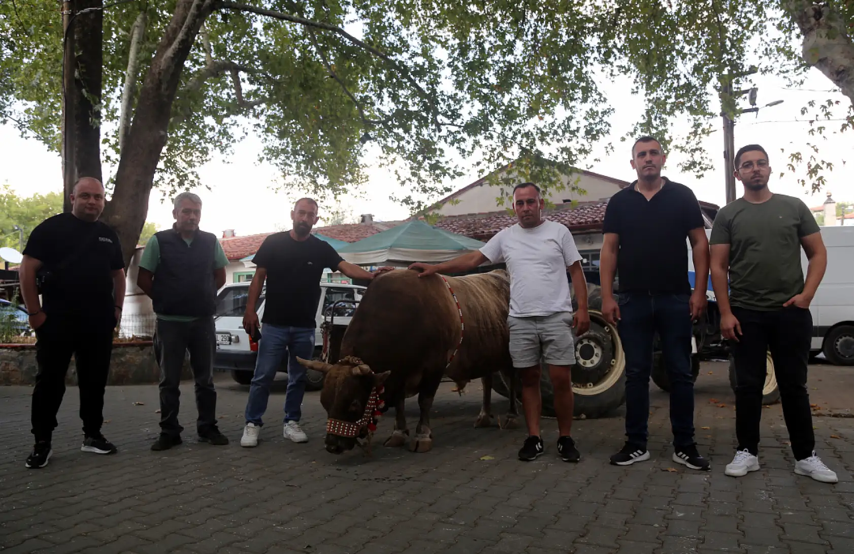 Muğla'da boğa güreşinden elde edilen gelir hasta ve engelliler için kullanıldı