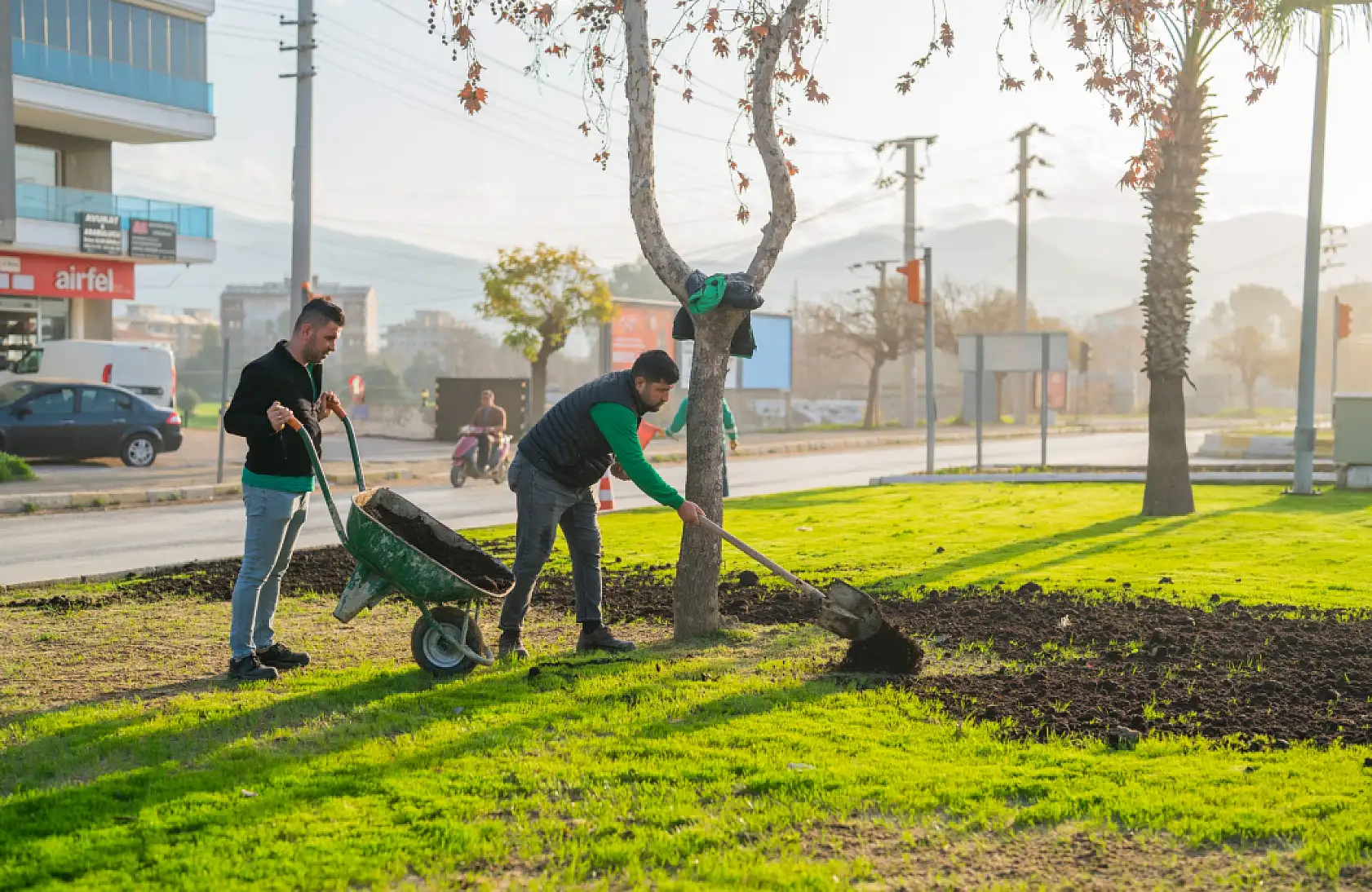 Milas'ta Çevre Düzenleme ve Yeşil Alan Çalışmaları Sürüyor