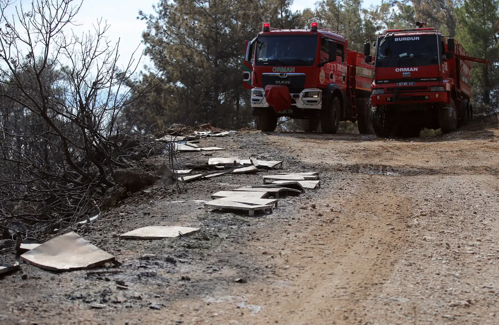 Menteşe'de çıkan orman yangınında 120 arı kovanı zarar gördü
