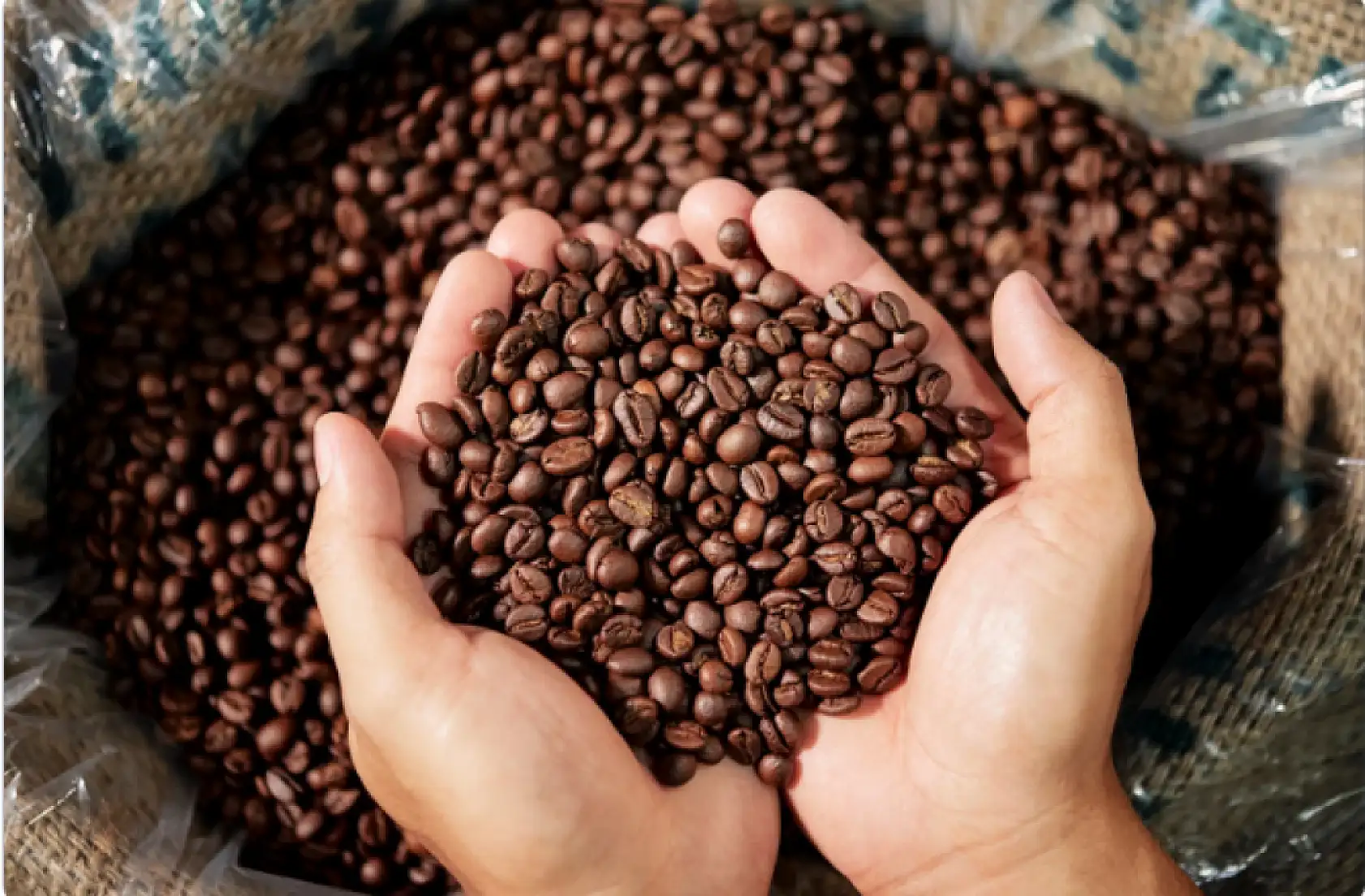 Kahve fiyatları iklim değişikliği nedeniyle artıyor