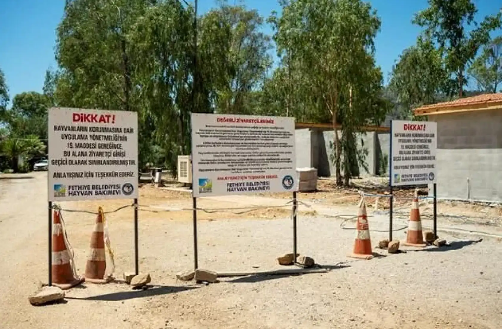 Fethiye'de Modern Hayvan Barınağı 30 Aralık'ta Açılıyor