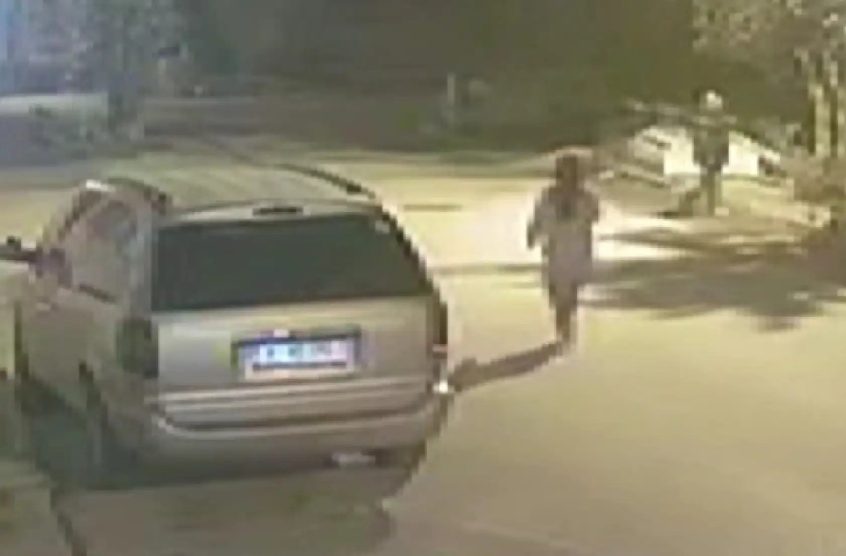 Mihriban cinayetinde kan donduran ifade: 'Öldüğünü anlayınca ormana gömdüm'