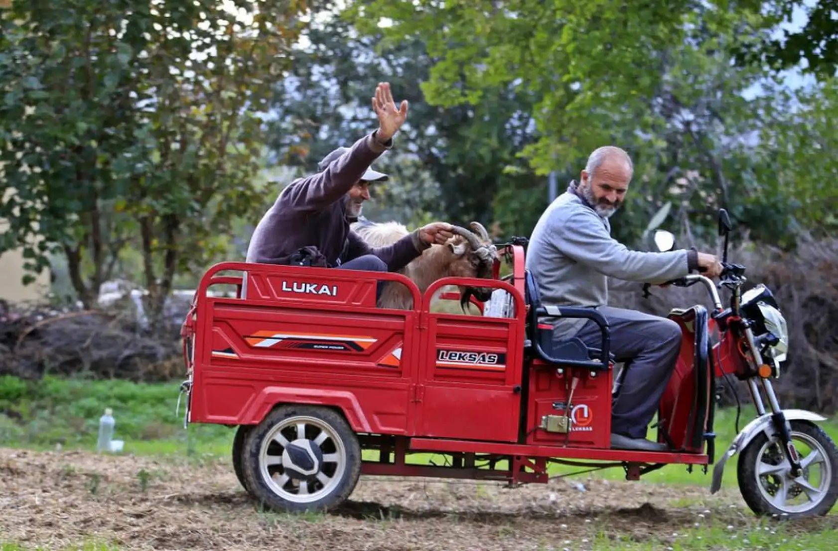 3 keçisini kurtlar yiyen yaşlı adam, mahsur kaldığı uçurumdan kurtarılan son keçisine sarılıp doyasıya öptü