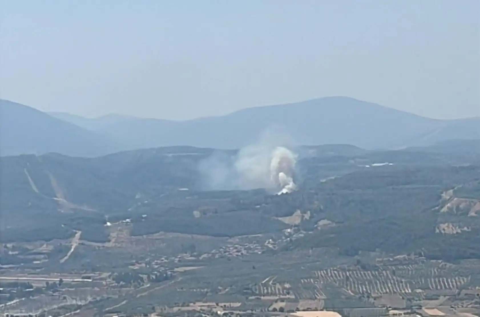 Muğla'da orman yangını