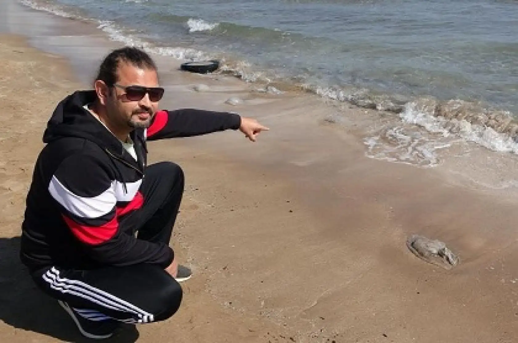 Sahil kenarları denizanasıyla doldu, vatandaşlar da şaşırarak panik oldu