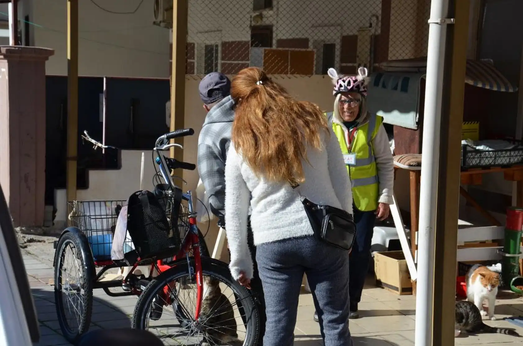 İskoçya'dan Fethiye'ye Geldi, Sokak Hayvanlarına Umut Oldu