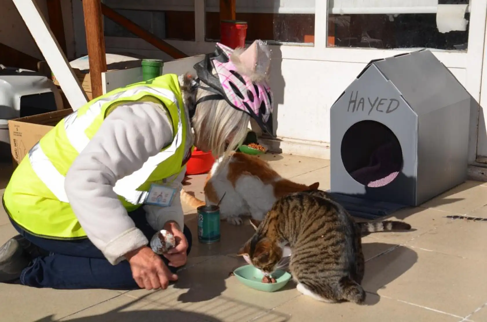 İskoçya'dan Fethiye'ye Geldi, Sokak Hayvanlarına Umut Oldu