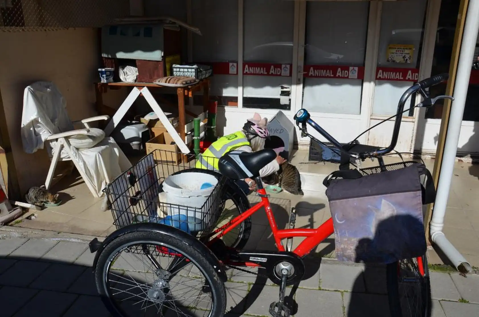 İskoçya'dan Fethiye'ye Geldi, Sokak Hayvanlarına Umut Oldu