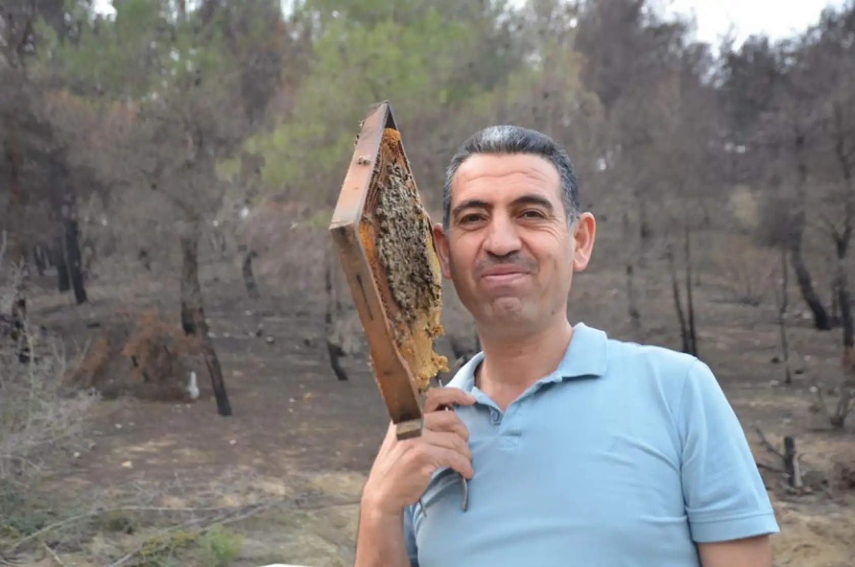 Ana arı üretiminde büyük başarı: Bir arı kovanıyla hobi olarak başladı, şimdi Türkiye'nin her yerine koloni gönderiyor
