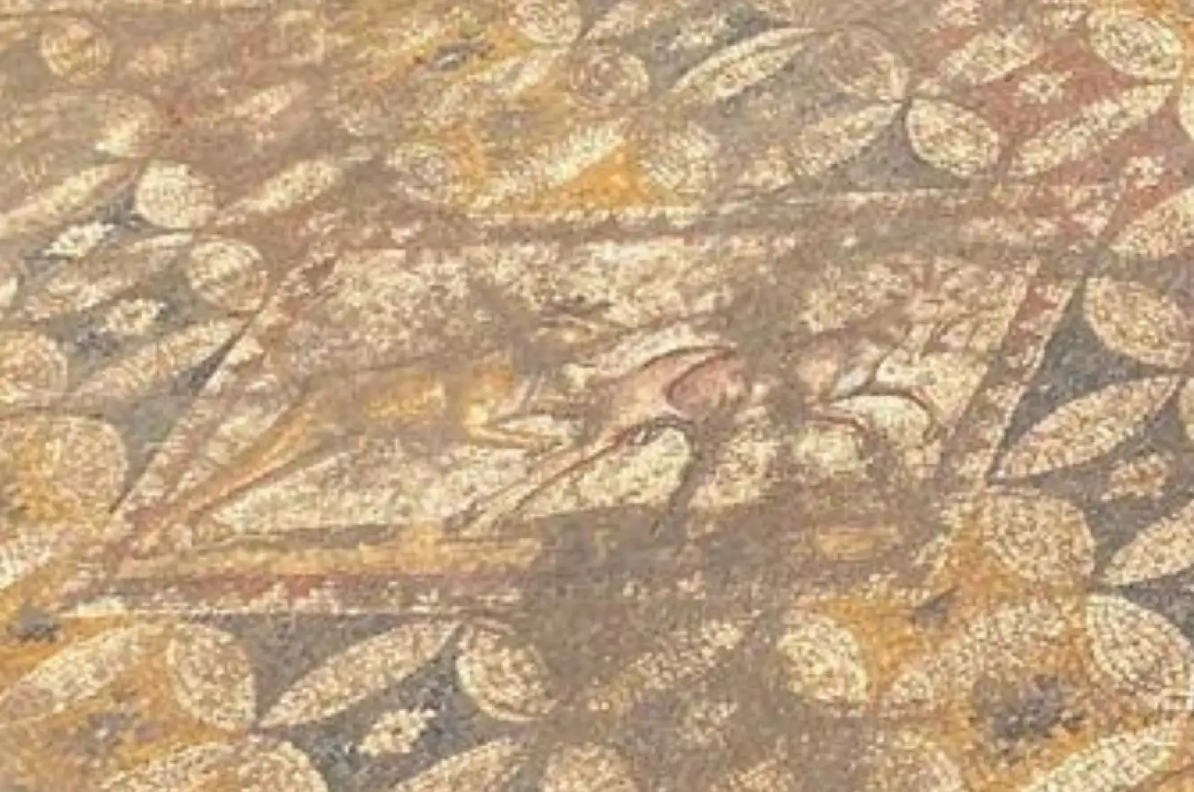 Papa'nın geleceği İznik'te müthiş keşfin sırrı belli oluyor