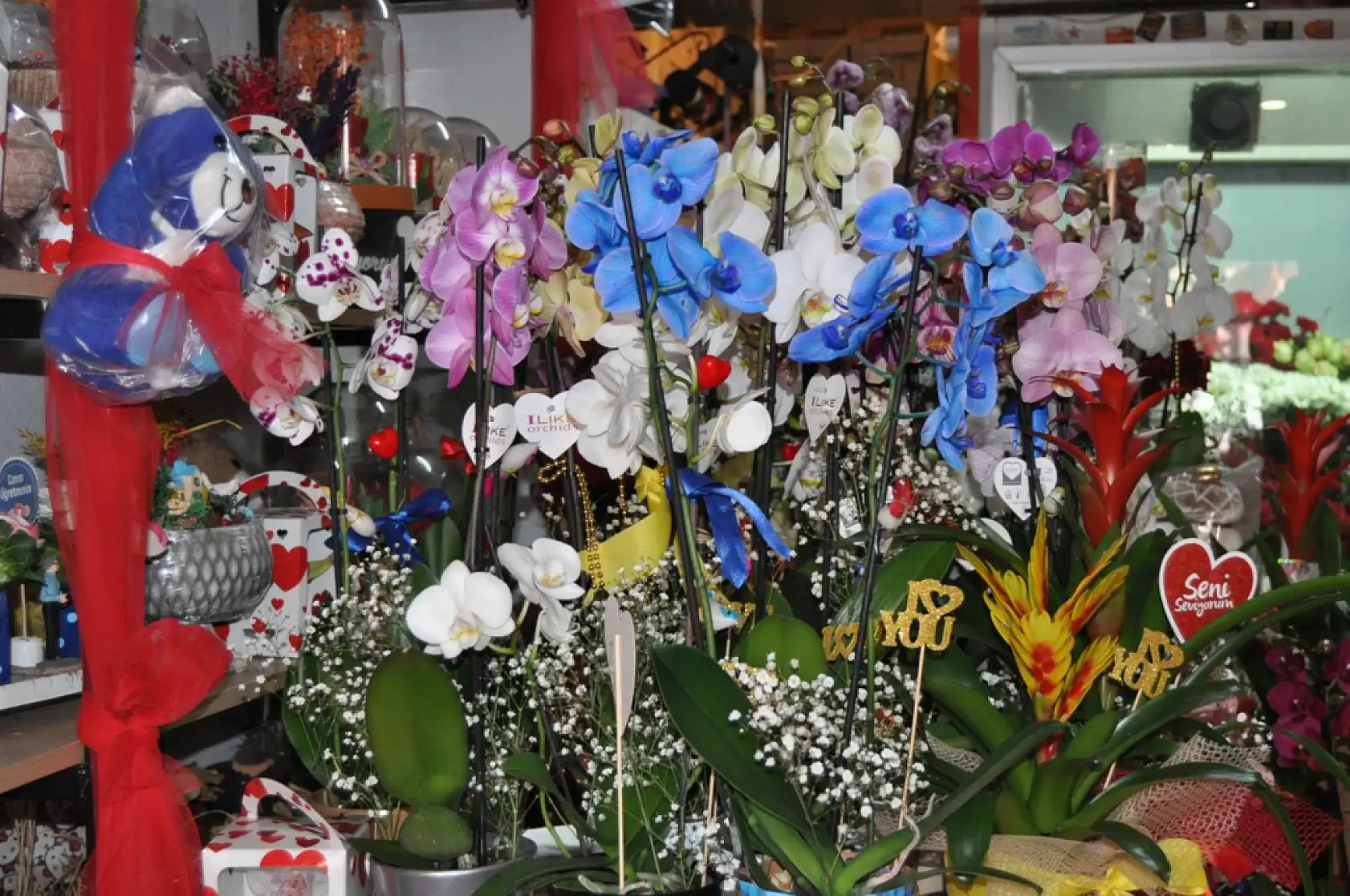 Fethiye'de Aşk Başka! Sevgililer Günü Fethiye'de Nasıl ve Ne Kadara Geçer?