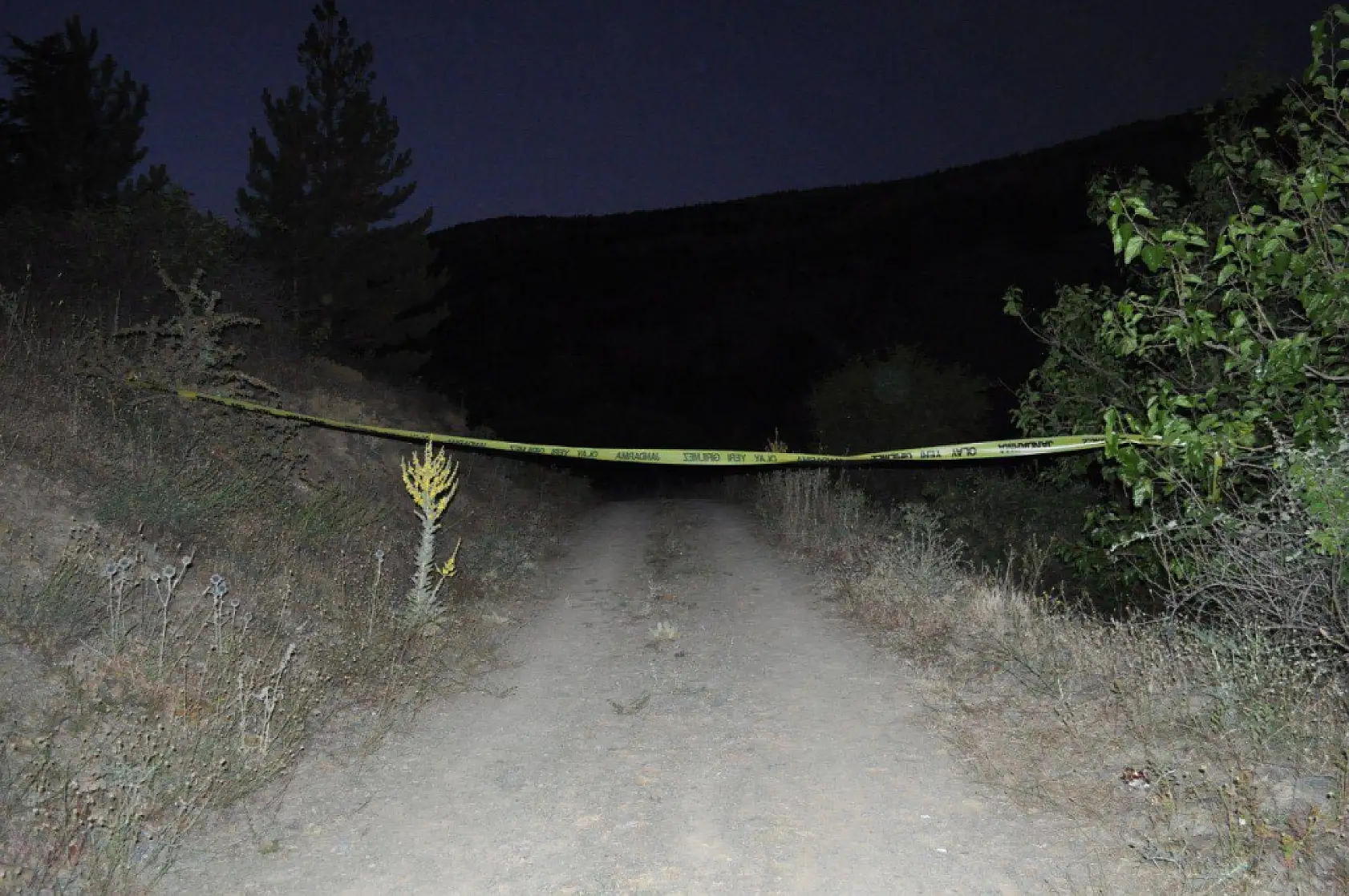 Çalıntı araçla kaçarken 'dur' ihtarına uymadı, jandarmaya ateş edip kendini vurdu