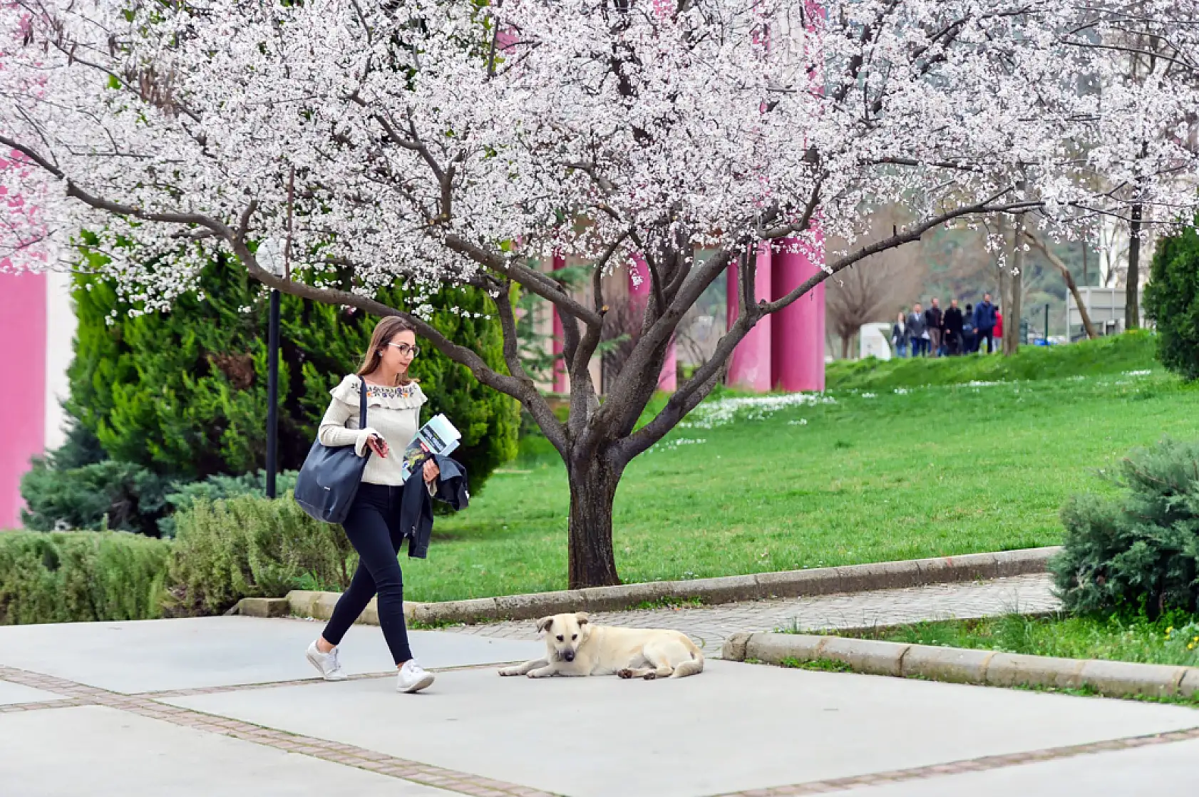 MSKÜ, UI GreenMetric 2025'te üst sıralarda yer aldı