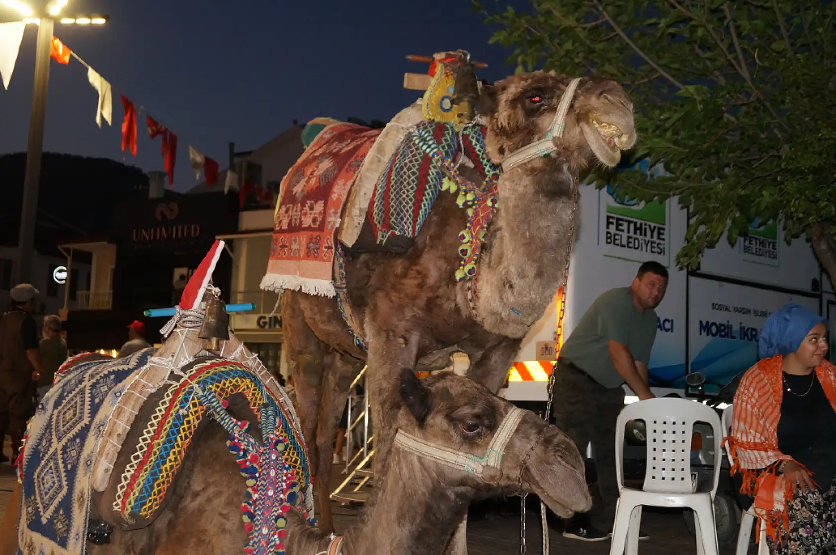 Fethiye'de Yörük Kızı Nursel Gökalp: 'Goca Gız'la Birlikte Büyüdüm'