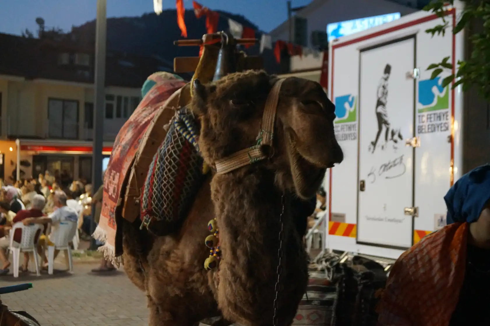 Fethiye'de Yörük Kızı Nursel Gökalp: 'Goca Gız'la Birlikte Büyüdüm'