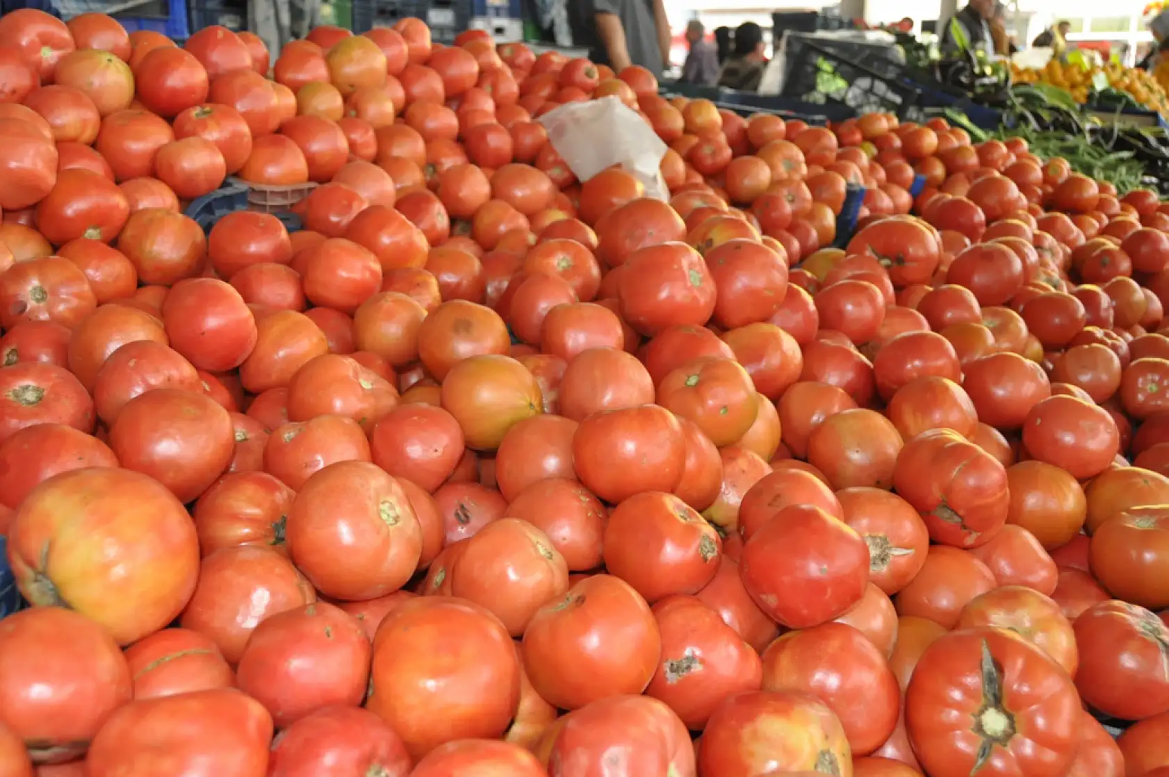 Fethiye Cumartesi pazarında hareketlilik