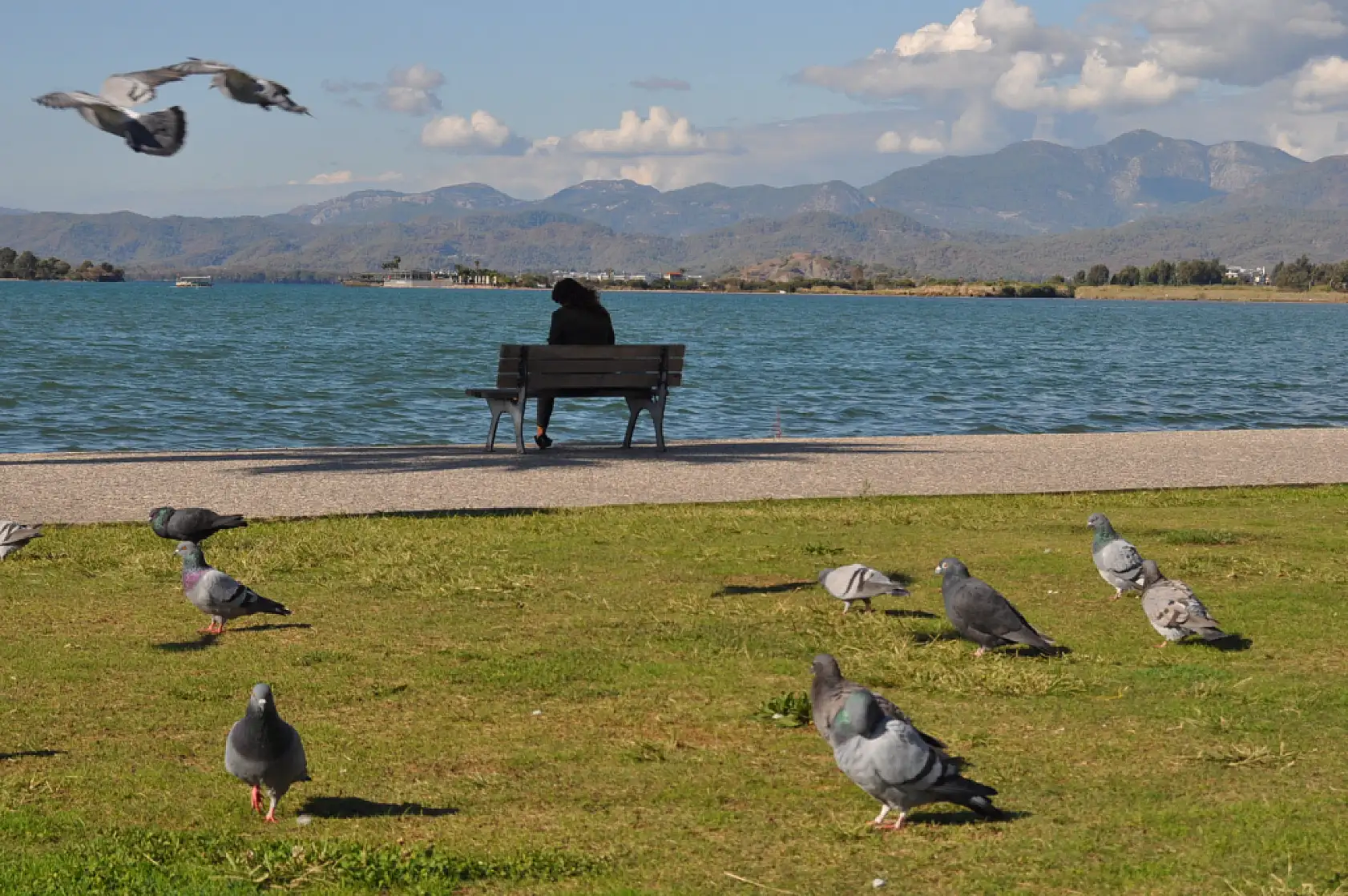 Fethiye 3. Etap Sahil Bandı, Balık Tutanların Uğrak Noktası