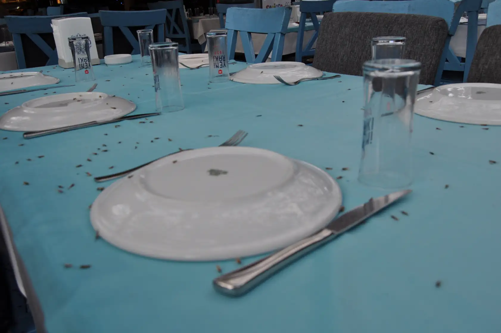 Fethiye Balık Pazarı Yılbaşına Hazır