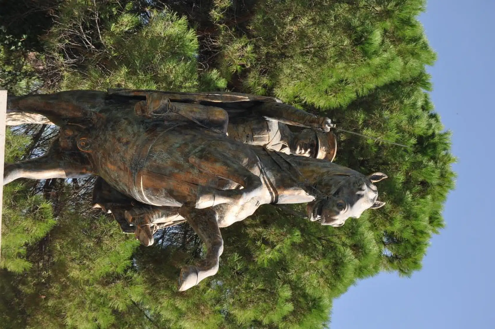 Cumhuriyetin 100.Yılını Coşkuyla Kutladılar