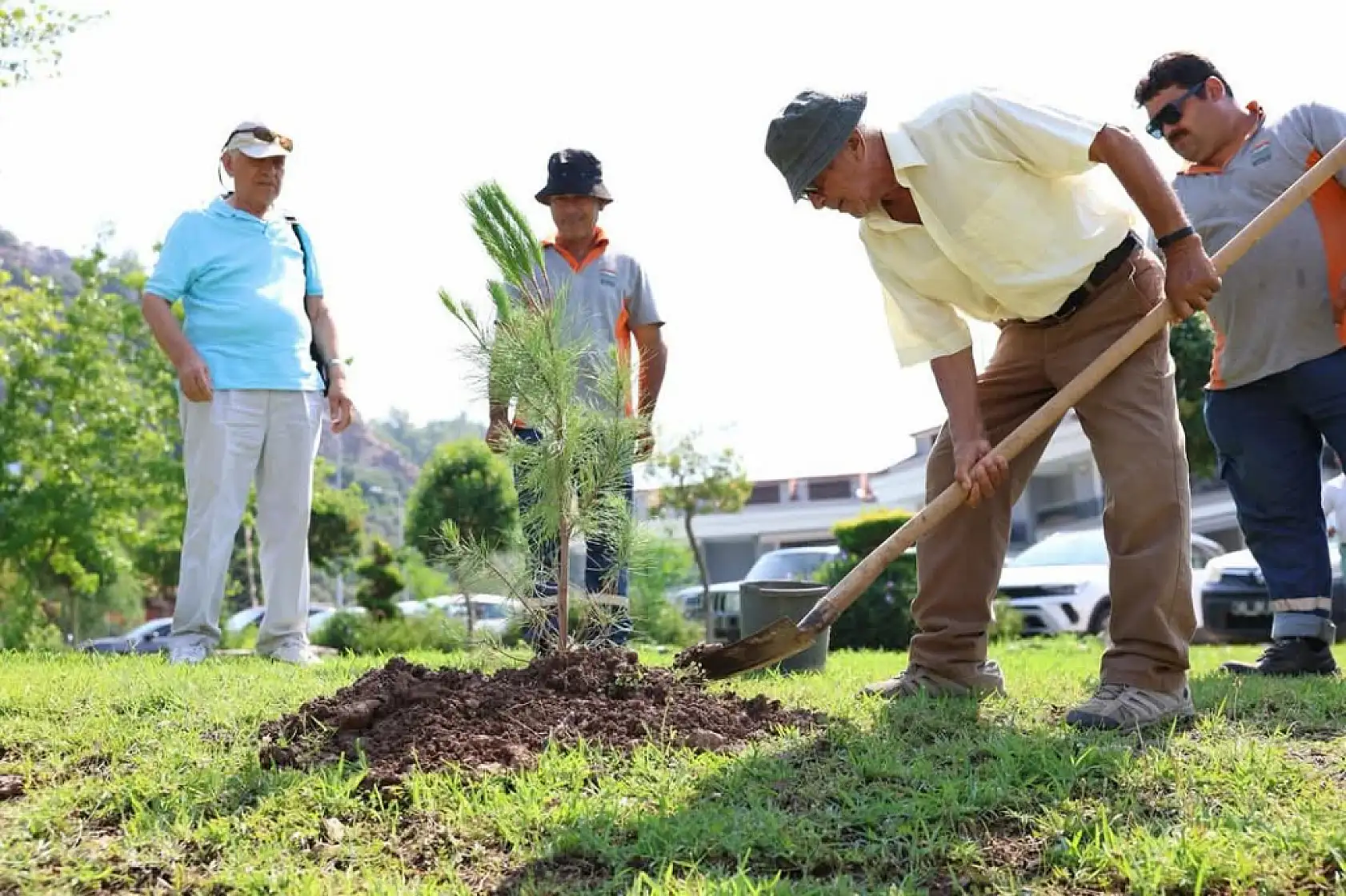 Datça'nın 'Doğa Dedesi'nin Marmaris'e bağışladığı fidanlar dikildi
