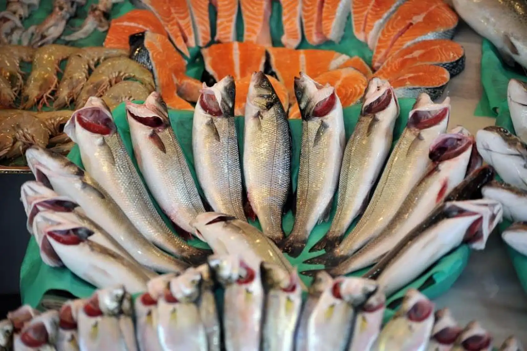 Balık ihracatında Rekor Rakam