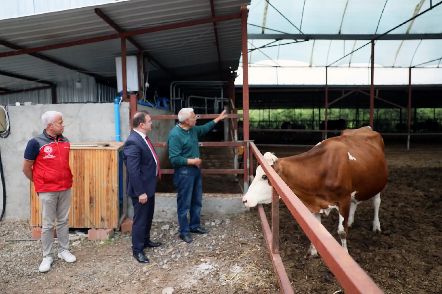 'Anneleri Aşılat, Buzağını Yaşat' projesi eğitim toplantısı Ortaca'da gerçekleştirildi