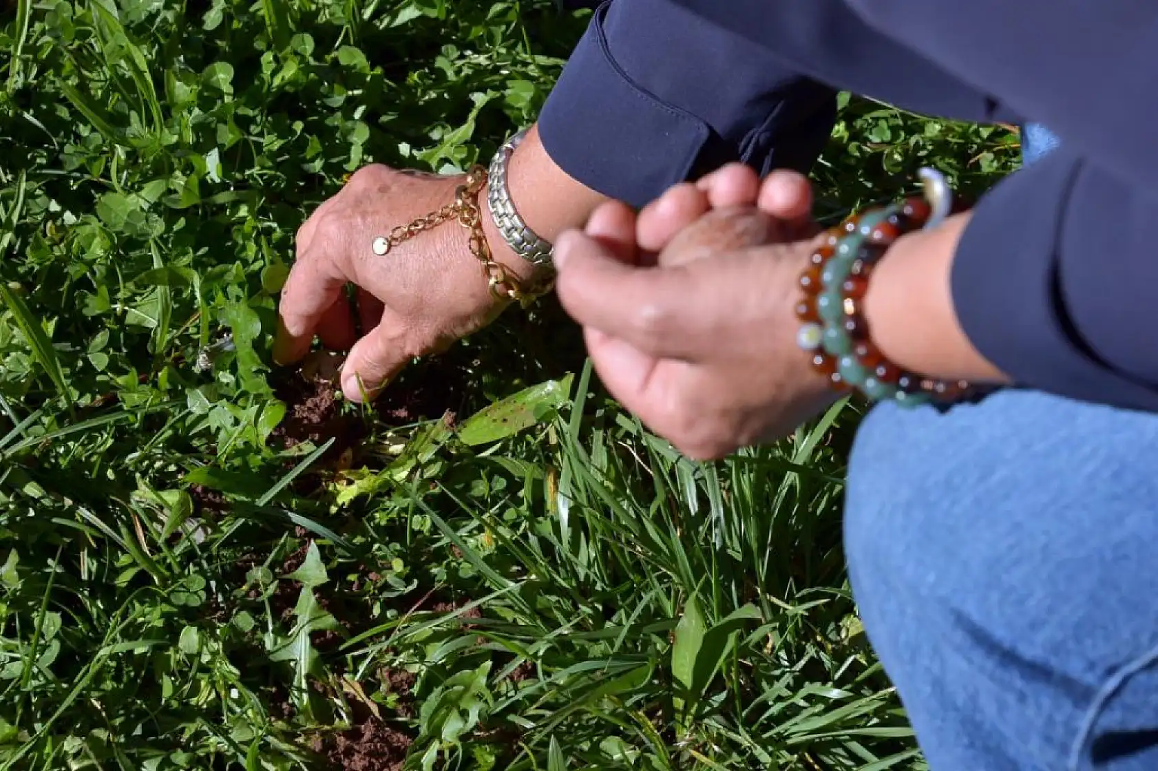 MSKÜ'de 'DENGE Belgeseli ile Sürdürülebilir Yaşam Günü'