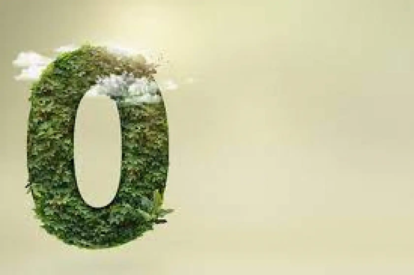 Karbon Vergisi Çevreci Şirketlerin Rekabet Gücünü Artıracak