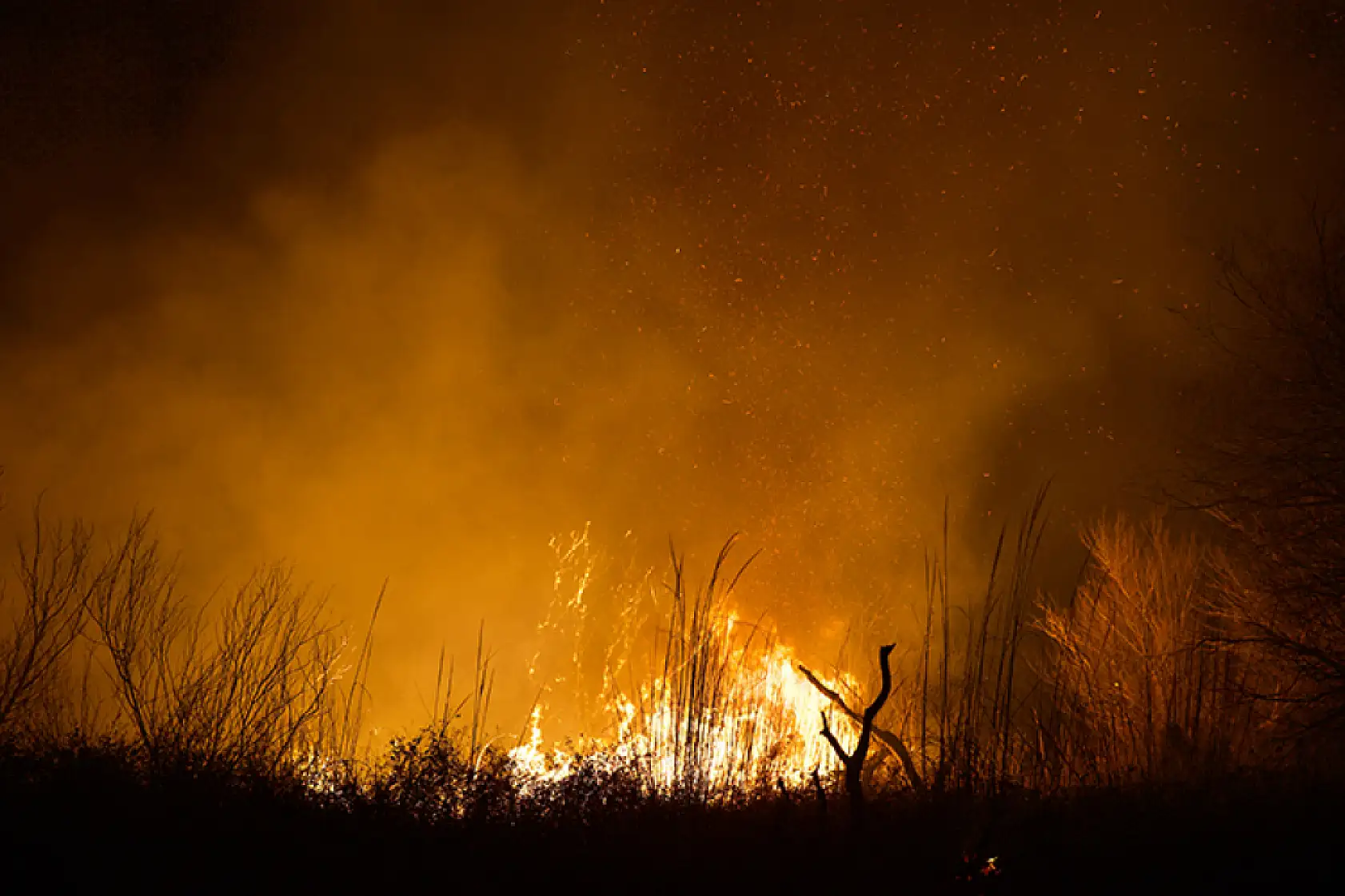 Kuş Cenneti'nde çıkan yangına müdahale ediliyor