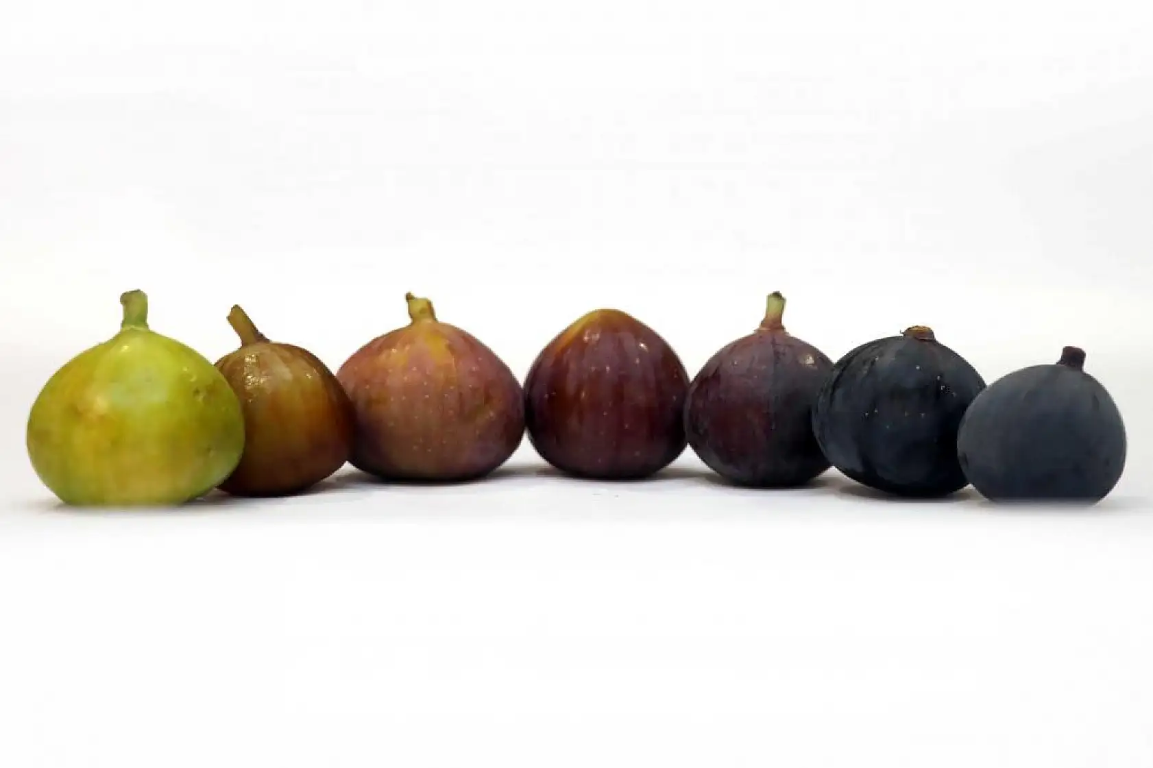 Fethiye Kaya İnciri'ne AB Tescili İçin İlk Adım Tamam