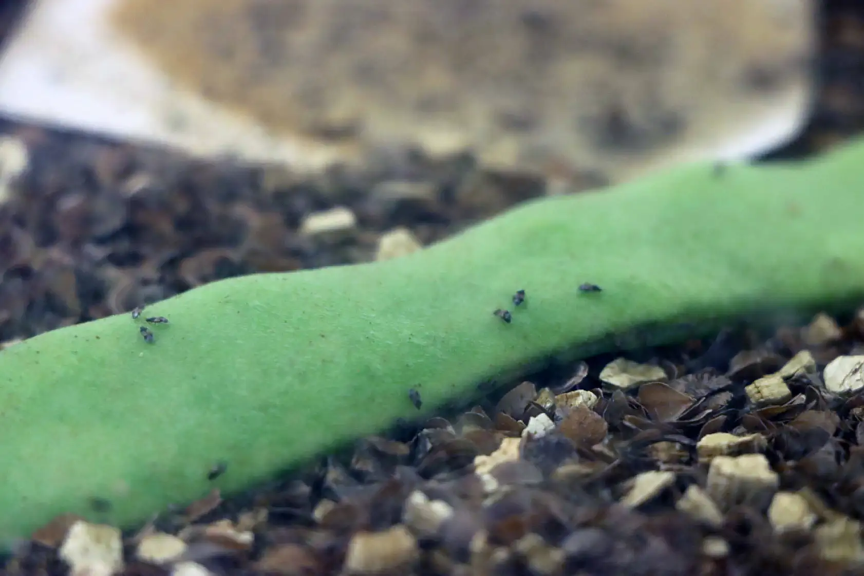 FTSO Yönetimi, Türkiye'de Bir İlki Gerçekleştiren Genç Girişimci Ali Rıza Günal'ı Ziyaret Etti