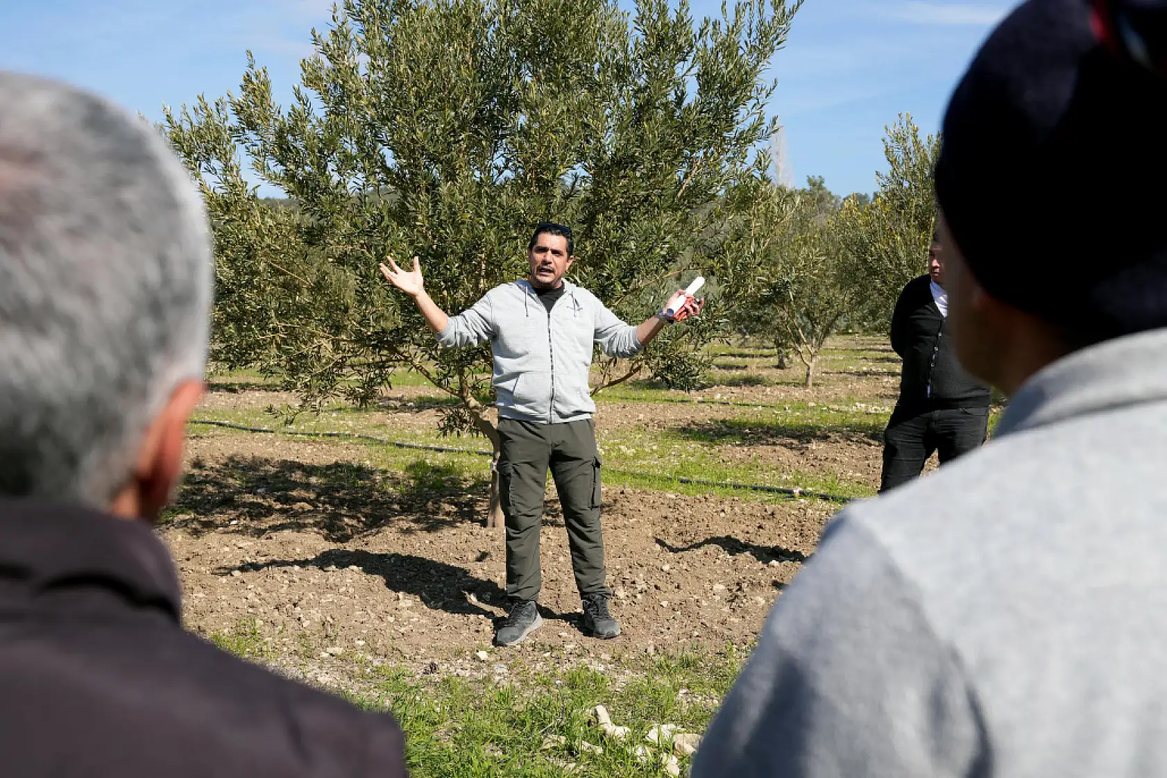 Zeytinciliği Geliştirme Projesi'ne talep artıyor